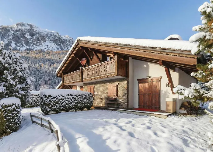 Village Des Oursons C - Happy 公寓 *