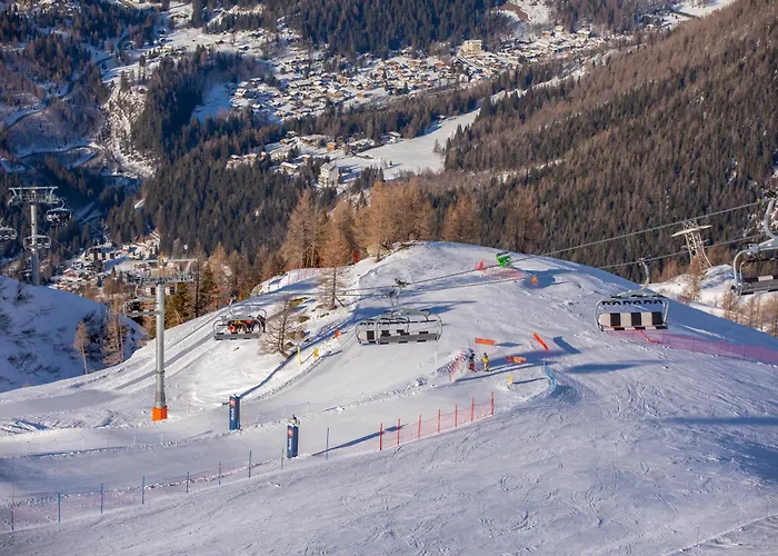 Village Des Oursons C - Happy *