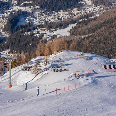 Village Des Oursons C - Happy *